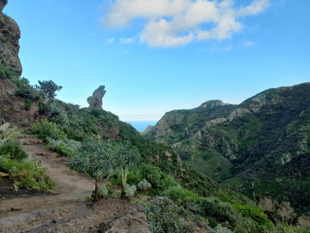 Casa Rural Chamorga - Pension - Guesthouse - Santa Cruz de Tenerife Exterior photo