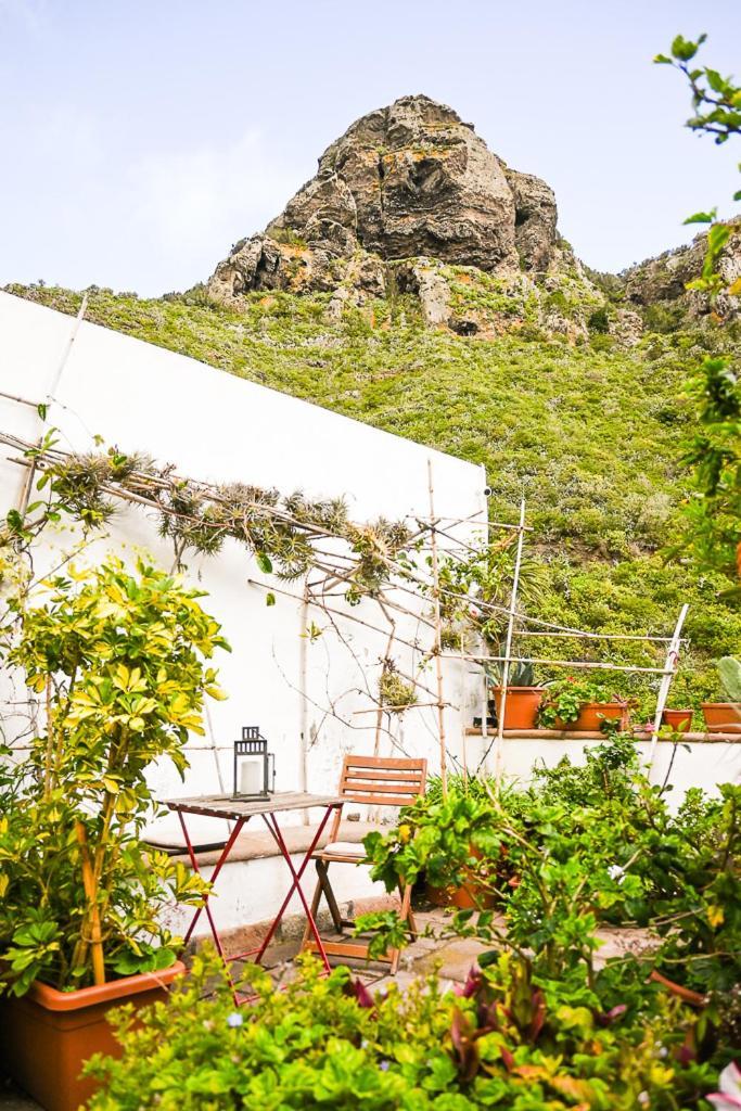 Casa Rural Chamorga - Pension - Guesthouse - Santa Cruz de Tenerife Exterior photo