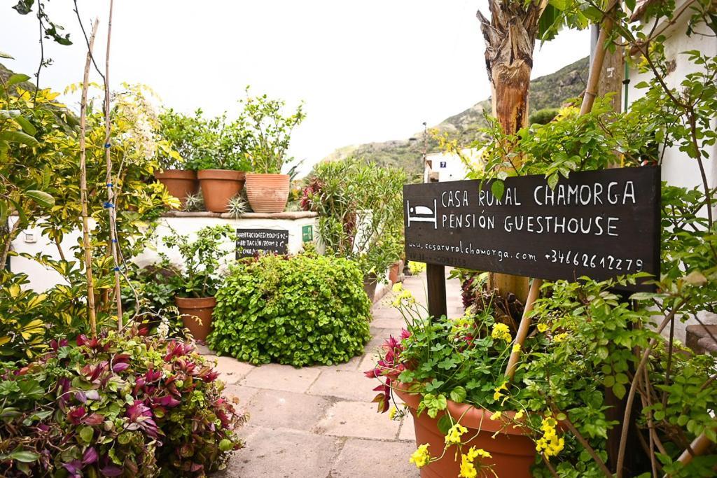 Casa Rural Chamorga - Pension - Guesthouse - Santa Cruz de Tenerife Exterior photo
