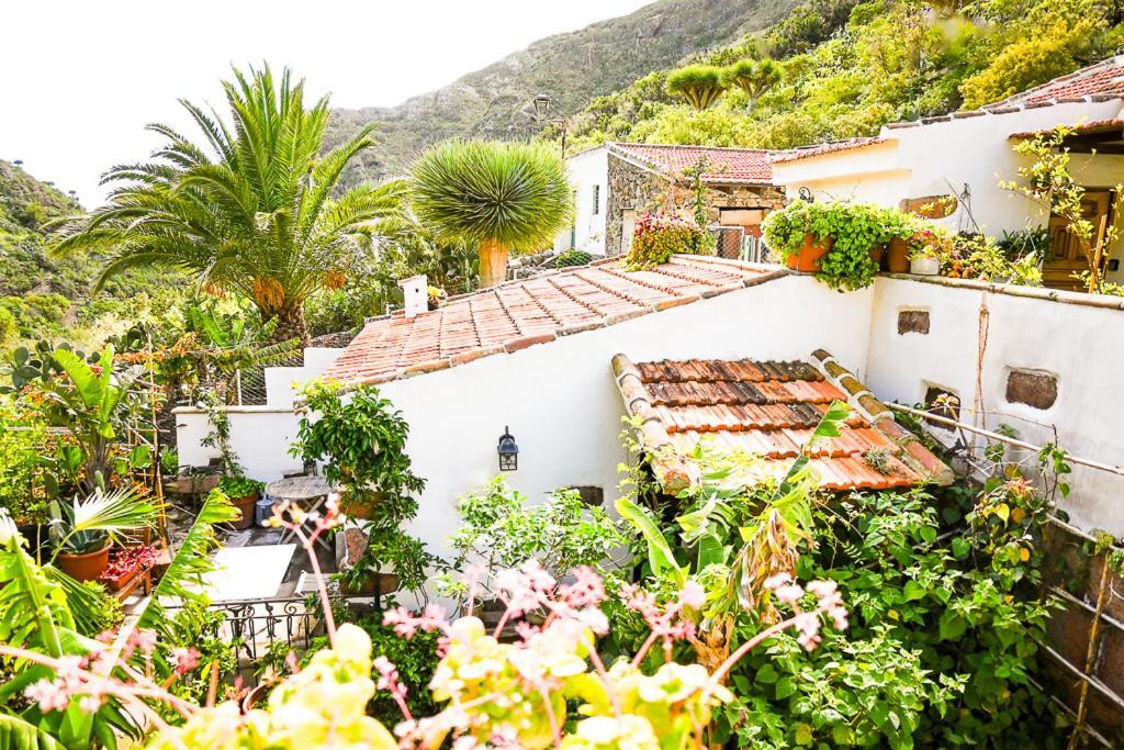 Casa Rural Chamorga - Pension - Guesthouse - Santa Cruz de Tenerife Exterior photo