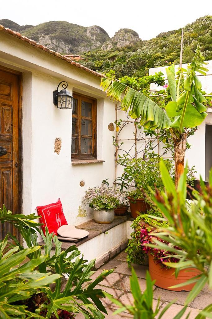 Casa Rural Chamorga - Pension - Guesthouse - Santa Cruz de Tenerife Exterior photo